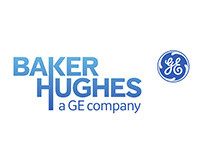 Baker Hughes - Referências TDGI Portugal